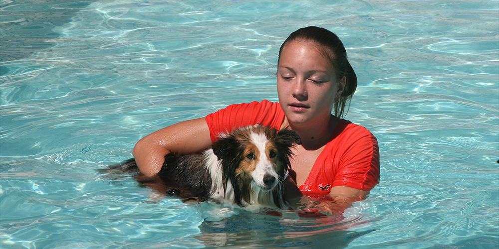 Employee in pool with dog
